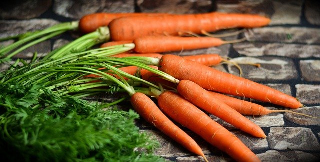 Carottes nouvelles