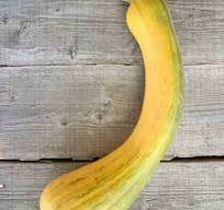 Potimarron entre 800 g et 1.200 kg