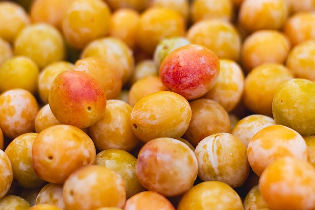 Prune Mirabelle