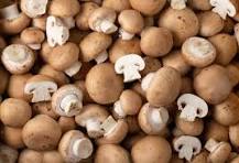 Champignons crème 500g