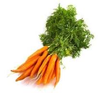 Carottes fanes la botte sinon 700g vrac
