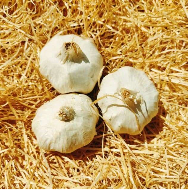 Ail 300g