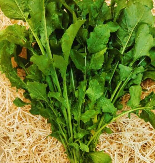 Roquette bouquet