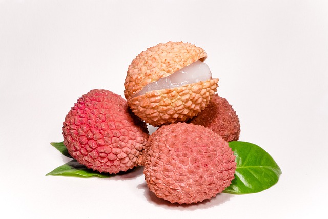 Litchi Philibon branche