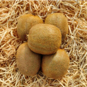 Kiwis verts 5 pces