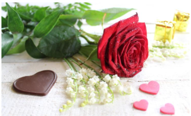 5 brins et une rose