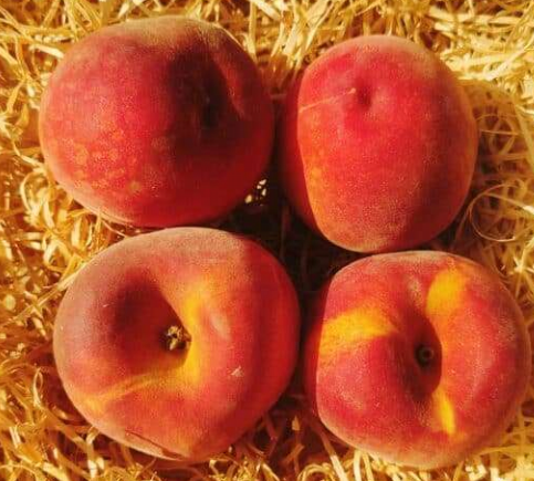 Pêche 3-4 pièces (750g)