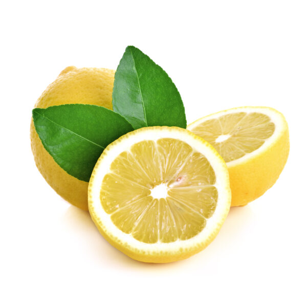 Sorbet citron 500ml