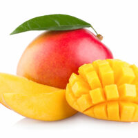 Sorbet mangue 500ml
