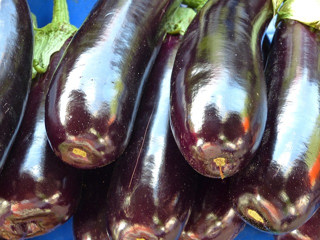Aubergine  Kg
