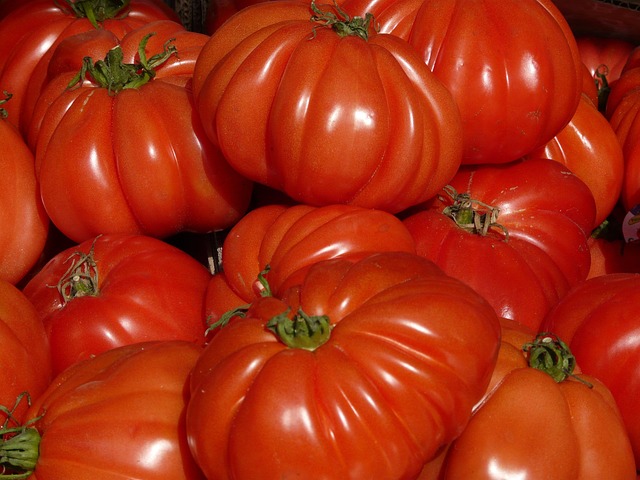 Tomate coeur de boeuf Kg