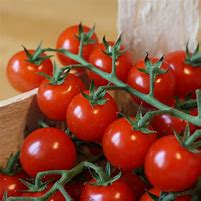 Tomate cerise 500g