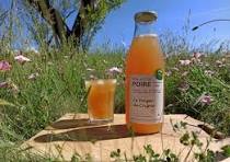 JUS DE POIRE 6 LITRES