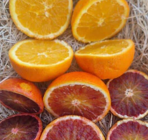 Mixte Oranges (douces, sanguines) 700g