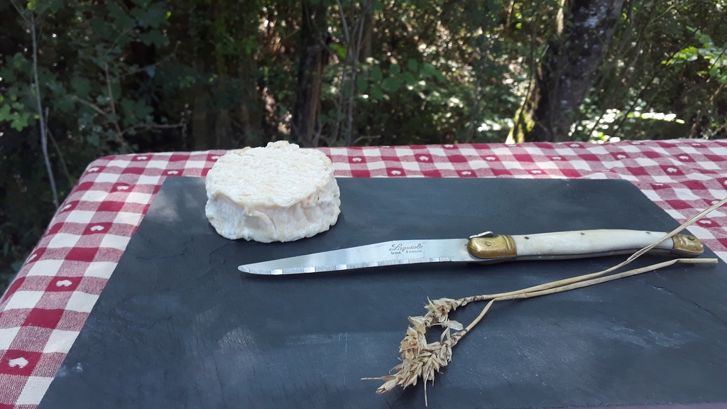 Fromage de chèvre frais la pièce