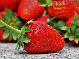 Fraises 500g Clery