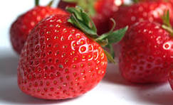 La barquette de fraise de 500g