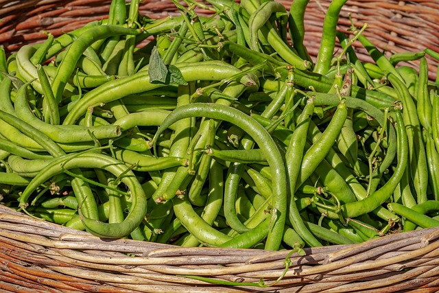 Haricots Kg