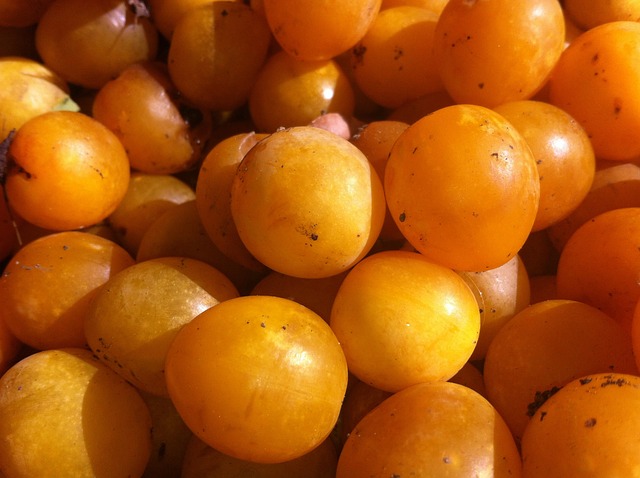 5 Kg prune de saison