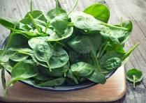 Pousse épinard 500g