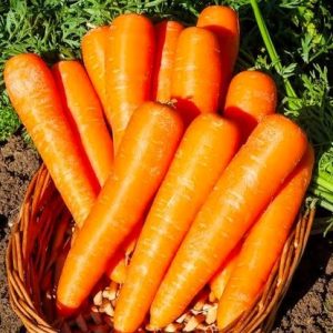 Carottes oranges 1 Kg