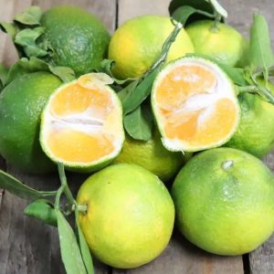Mandarines Satsuma 1 Kg