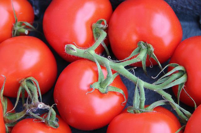 Tomate grappe