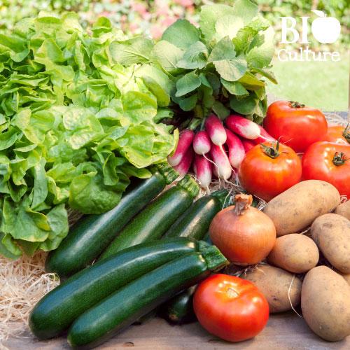 Le petit locavore