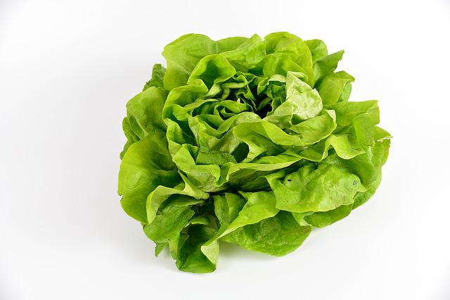 Salade, salad