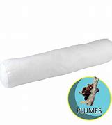 Traversin plumes