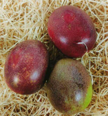 Fruit de la passion Philibon 2p