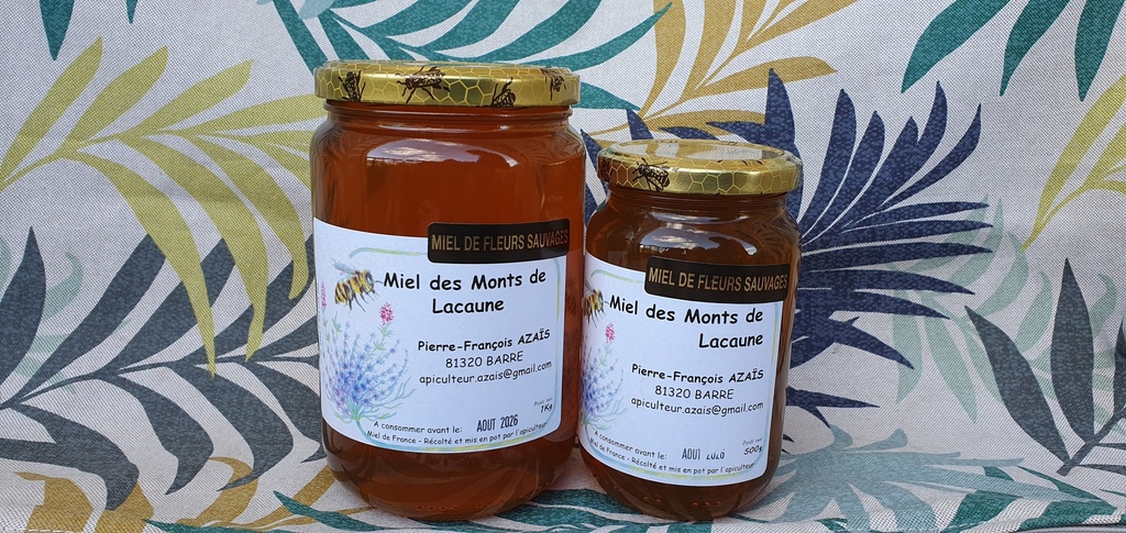 Miel de fleurs sauvage en 1kg