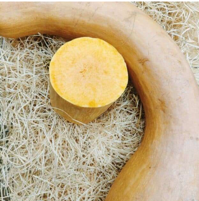 Courge longue