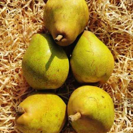 Poire Kg