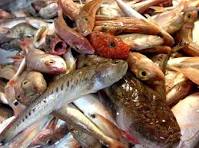 Soupe de poisson 2 kg