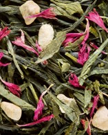 MISS DAMMANN les 100g