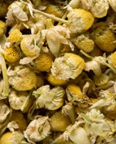 CAMOMILLE MATRICAIRE les 100g