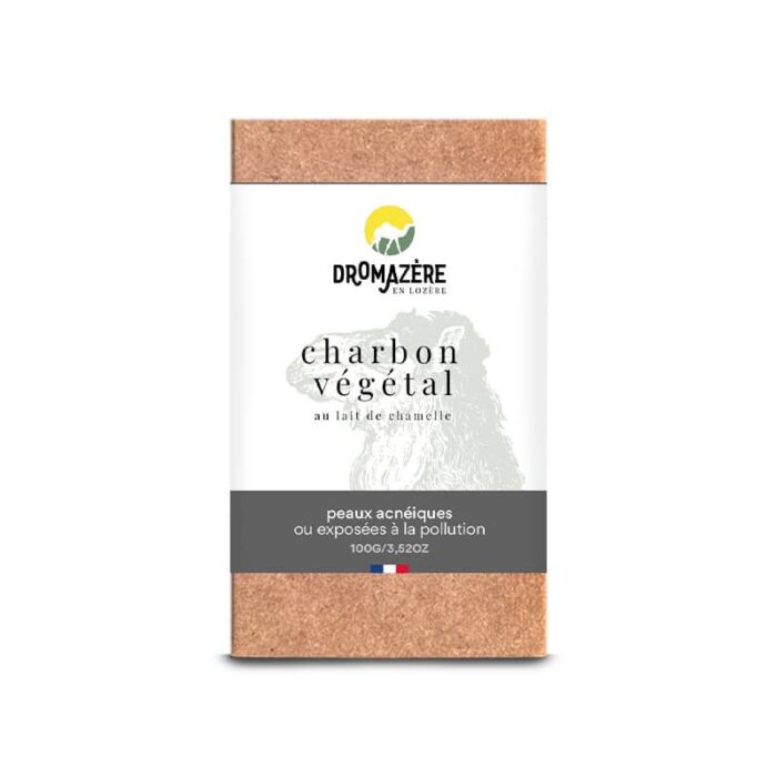 Savon solide Charbon Purifiant 100g