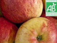 POMME GALA BIO Rouge , fondante, sucrée filet de 8kg