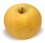 POMME CHANTECLER BIO Fondante, parfumée, acidulée et sucrée le filet de 8 kg