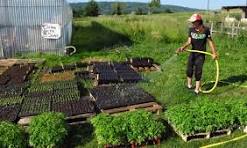 Coffret dégustation