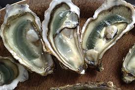 Bourriche d'huitre Marennes d'Oléron n°3