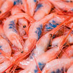 Crevettes cuites 20/30 la barquette de 2 kg