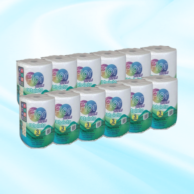 Essuie tout 12 rouleaux