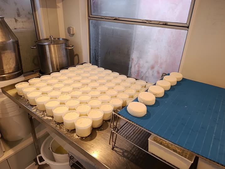 Crème aux oeufs 150g l'unité sans consigne