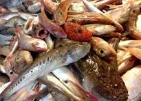 soupe de poisson les 250 ml