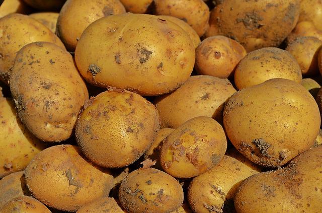 Pomme de terre