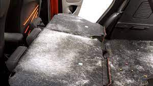 Option poils de chiens ou très sale