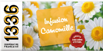 Infusion Camomille