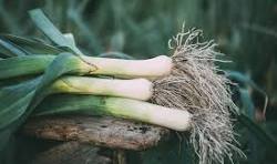 Poireaux environ 700g